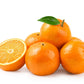 20 TANGERINE Mandrin Orange Citrus Reticulata Fruit Tree Seeds