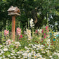 25 WHITE HOLLYHOCK Alcea Rosea Flower Seeds Perennial