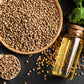 1000 CILANTRO / CORRIANDER / Chinese PARSLEY Coriandrum Sativum Herb Flower Seeds
