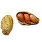 20 Seeds Early SPANISH PEANUT Arachis Hypogaea Perennial Nut Plant
