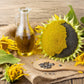50 HOPI Black Dye SUNFLOWER Helianthus Annuus Flower Seeds