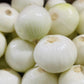 250 ECLIPSE ONION White Sweet Allium Cepa Vegetable Seeds
