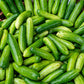 200 MARKETMORE 76 SLICING CUCUMBER Fruit Cucumis Sativus Seeds