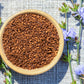 1000 CHICORY (Blue Daisy / Blue Sailors / Coffeeweed / Succory) Cichorium Intybus Flower Herb Seeds