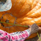 10 Dill's ATLANTIC GIANT PUMPKIN Up to 2000 lb Cucurbita Vegetable Seeds