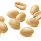 20 Seeds Early SPANISH PEANUT Arachis Hypogaea Perennial Nut Plant