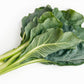 1500 MORRIS HEADING COLLARDS Collard Green Brassica Oleracea Vegetable Seeds