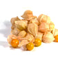 200 Organic GROUND CHERRY Physalis Pruinosa ( Golden Strawberry / Chinese Lantern ) Vegetable Seeds