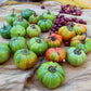 25 TURKISH ORANGE EGGPLANT Scarlet Solanum Aethiopicum Fruit Vegetable Seeds