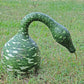 15 GOOSENECK / Bottle / SWAN GOURD Lagenaria Siceraria Vine Seeds