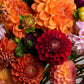50 EARLY BIRD DAHLIA Mixed Colors Flower Seeds