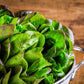 3000 BRONZE MIGNONETTE LETTUCE Butterhead Lactuca Sativa Vegetable Seeds