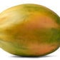 10 DWARF WAIMANALO PAPAYA Solo Hawaiian Carica Fruit Tree Houseplant Seeds