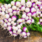 3000 PURPLE Top WHITE Globe TURNIP Brassica Rapa Vegetable Seeds