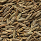 500 Organic CUMIN Cuminum Cyminum Herb Flower Seeds