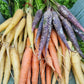 300 LUNAR WHITE CARROT Daucus Carota Vegetable Seeds