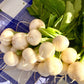 500 Hailstone WHITE GLOBE RADISH Raphanus Sativus Vegetable Seeds