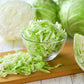 500 COPENHAGEN MARKET Early CABBAGE Heirloom Brassica Oleracea Vegetable Seeds