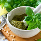 200 MOZZARELLA BASIL Sweet Italian Heirloom Ocimum Basilicum Herb Flower Seeds