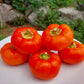 25 ALMA PAPRIKA PEPPER White Orange Red Hungarian Cherry Capsicum Annuum Seeds