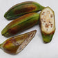 5 PLANTAIN BANANA Musa Balbisiana Hardy Red Flowering Sweet Wild Fruit Tree Seeds