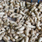 25 Seeds BAILEY II Virginia PEANUT Arachis Hypogaea Perennial Nut Plant