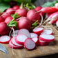 500 CHAMPION RADISH Sweet Scarlet Red Raphanus Sativus Root Vegetable Seeds