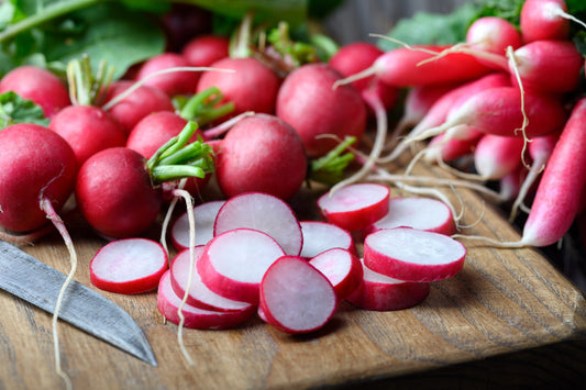 500 CHAMPION RADISH Sweet Scarlet Red Raphanus Sativus Root Vegetable Seeds