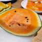 50 TENDERSWEET ORANGE WATERMELON Orange Flesh Citrullus Lanatus Fruit Melon Seeds