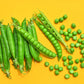 50 GREEN ARROW PEA Heirloom Shelling English Pisum Sativum Vegetable Seeds