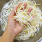 150 MUNG BEAN Moong Sprouts Golden Gram Green Vigna Radiata Vegetable Seeds