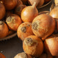250 Sweet WALLA WALLA ONION Allium Cepa Vegetable Seeds