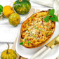 50 VEGETABLE SPAGHETTI SQUASH Winter Cucurbita Pepo Seeds