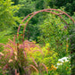 25 PURPLE FOUNTAIN GRASS Ornamental Pennisetum Setaceum Dark Burgundy Flower Seeds