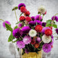 50 GLOBE AMARANTH MIX Gomphrena Globosa Mixed Colors Amaranthus Flower Seeds