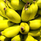 5 RED TIGER BANANA Hardy Musa Sikkimensis Bengal Flowering Darjeeling Sikkim Fruit Tree Seeds