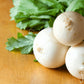 300 WHITE EGG TURNIP Brassica Rapa Vegetable Seeds