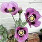 1000 LAVENDER POPPY Purple Papaver Somniferum Flower Seeds