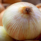 400 Texas EARLY GRANO ONION Large Sweet Yellow Allium Cepa Vegetable Seeds