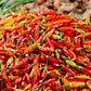 30 BIRDS Eye CHILI PEPPER (Chiltepin Pepper) Capsicum Frutescens Vegetable Seeds