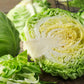 500 COPENHAGEN MARKET Early CABBAGE Heirloom Brassica Oleracea Vegetable Seeds