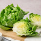 3000 WHITE BOSTON LETTUCE 12" Green Butterhead Lactuca Sativa Vegetable Seeds