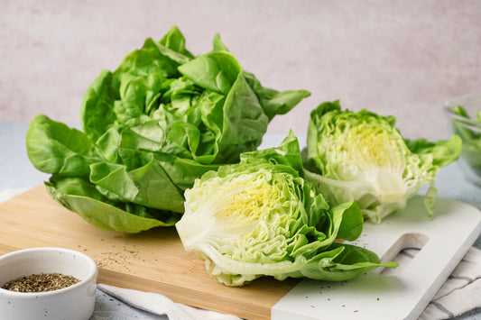 3000 WHITE BOSTON LETTUCE 12" Green Butterhead Lactuca Sativa Vegetable Seeds