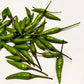 30 BIRDS Eye CHILI PEPPER (Chiltepin Pepper) Capsicum Frutescens Vegetable Seeds