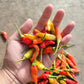 30 BIRDS Eye CHILI PEPPER (Chiltepin Pepper) Capsicum Frutescens Vegetable Seeds