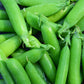 50 SUGAR ANN PEA Stringless Sweet Green Snap Pisum Sativum Vegetable Seeds
