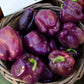 75 PURPLE BEAUTY PEPPER ( Sweet Mild Bell ) Capsicum Annuum Vegetable Seeds
