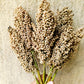 50 TOP 76-6 SORGHUM Bicolor Syrup Flour Grain Vegetable Seeds