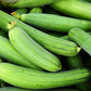 25 LUFFA SPONGE GOURD (Vegetable Sponge / Smooth Luffa / Sponge Loofa / Climbing Okra / Dishrag Gourd) Luffa Cylindrica Vine Seeds