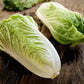 500 MICHIHILI CABBAGE Napa (Chinese Cabbage / Bok Choy / Pak Choi / Celery Mustard / Chinese Chard) Brassica Rapa Chinensis Vegetable Seeds